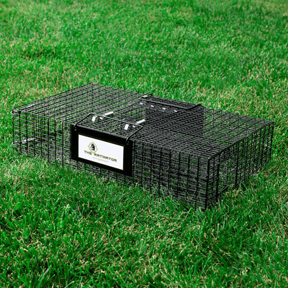 Rugged Ranch RATTR Ratinator Live Rat MultiCatch Animal Metal 2 Door Trap Cage  Humane IndoorOutdoo 5