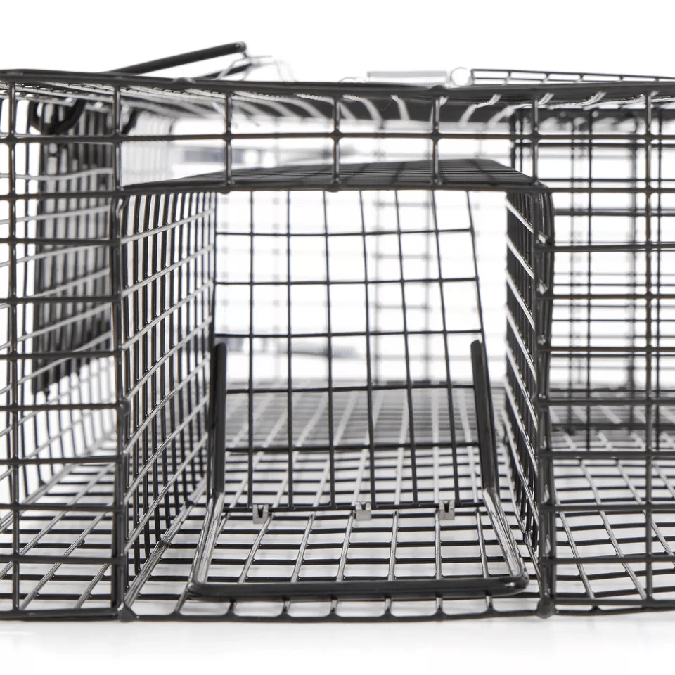 Rugged Ranch RATTR Ratinator Live Rat MultiCatch Animal Metal 2 Door Trap Cage  Humane IndoorOutdoo 2
