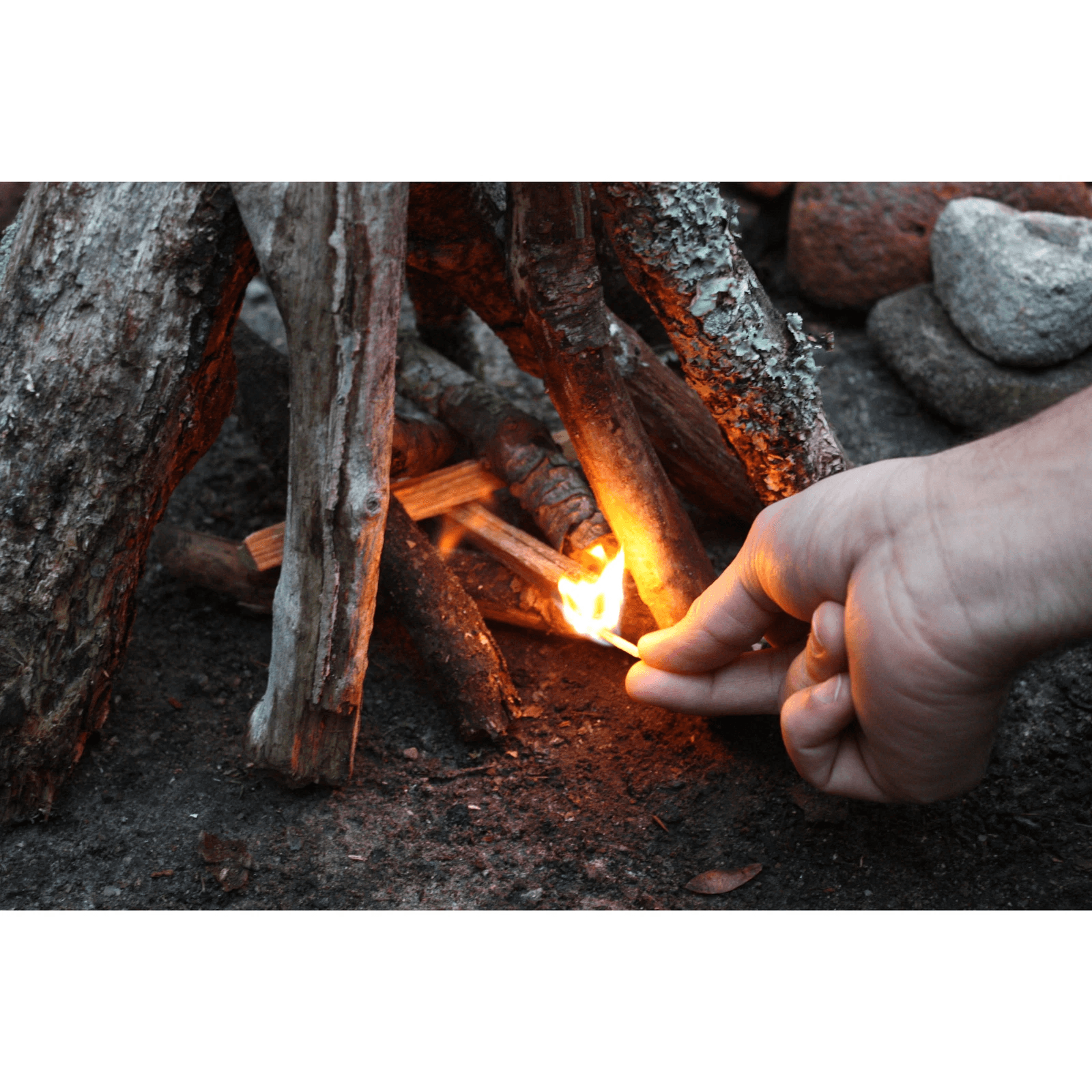 Better Wood Products Fatwood All Natural Fire Logs Eco Friendly Wood Fire Starter For Fireplace Cam 3