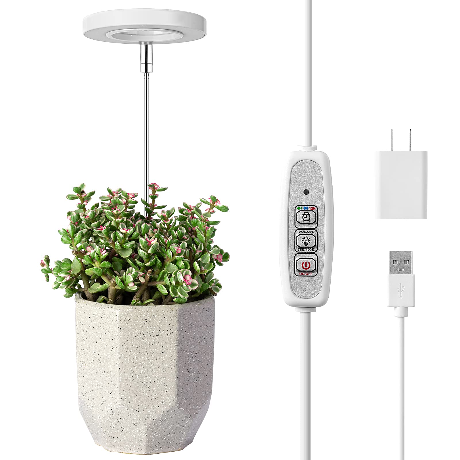 Indoor Plant LED Grow Light Full Spectrum Floor Lamp with Timer Dimming and Adjustable Height for