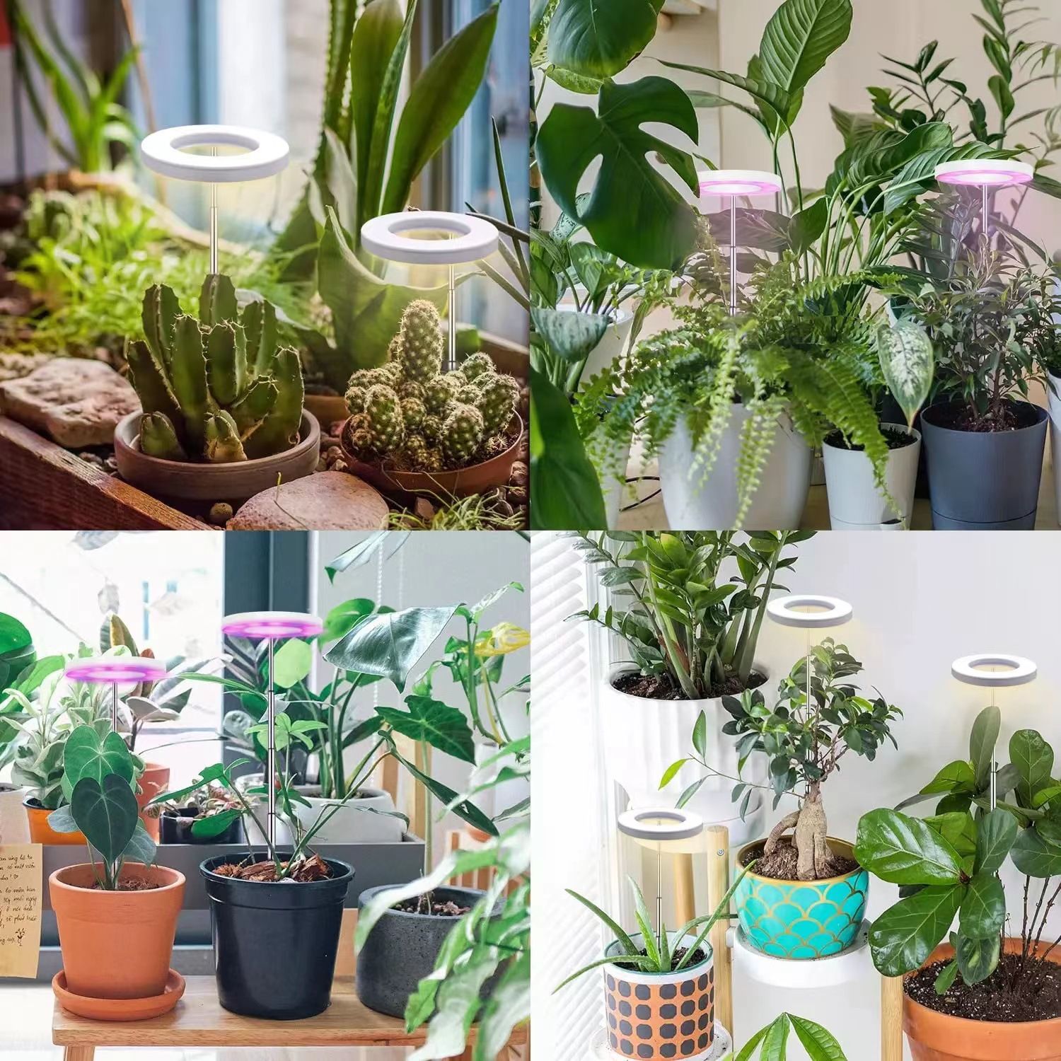 Indoor Plant LED Grow Light Full Spectrum Floor Lamp with Timer Dimming and Adjustable Height for