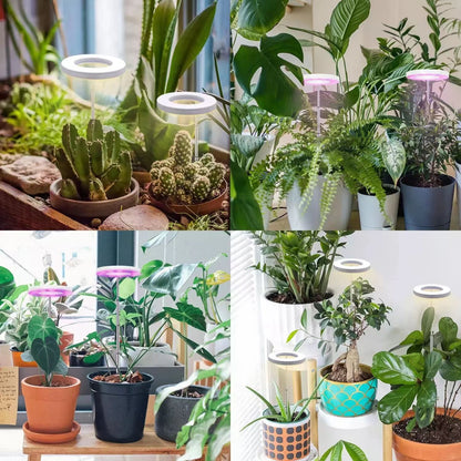 Indoor Plant LED Grow Light Full Spectrum Floor Lamp with Timer Dimming and Adjustable Height for