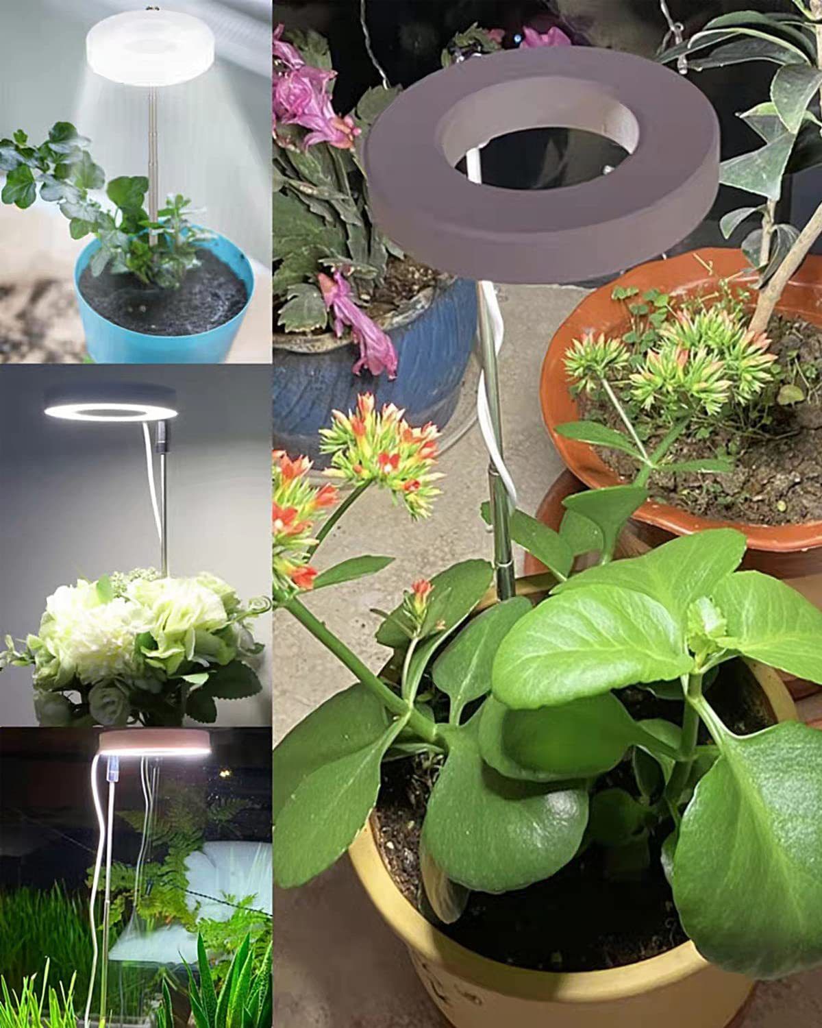 Indoor Plant LED Grow Light Full Spectrum Floor Lamp with Timer Dimming and Adjustable Height for