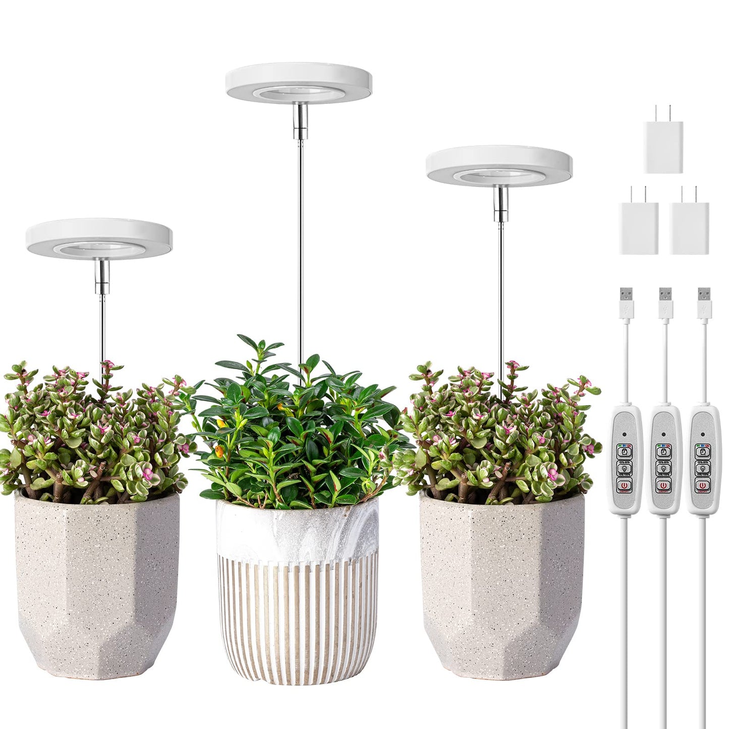Indoor Plant LED Grow Light Full Spectrum Floor Lamp with Timer Dimming and Adjustable Height for