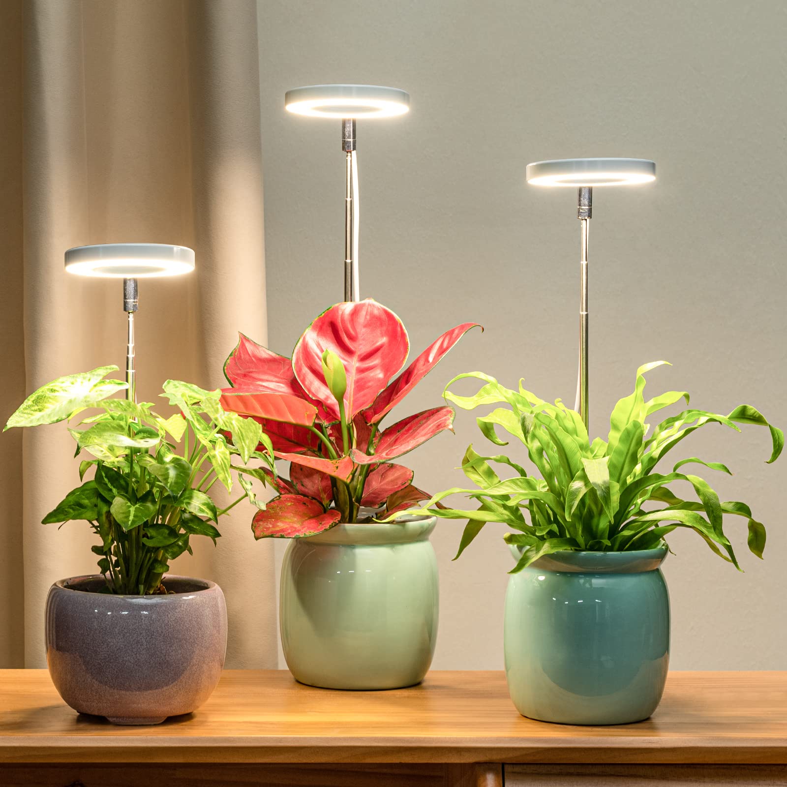 Indoor Plant LED Grow Light, Full Spectrum Floor Lamp with Timer, Dimming, and Adjustable Height for Succulents & More