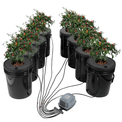 Hydroponics Deep Water Culture DWC System – 8 Bucket 5 Gallon Kit with Air Pump & Stones