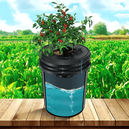 Hydroponics Deep Water Culture DWC System  8 Bucket 5 Gallon Kit With Air Pump  Stones 2