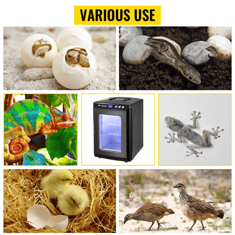 VEVOR 25L Black Reptile Egg Incubator 260C Scientific Lab Hatcher With LED Display  Dual Power For  3