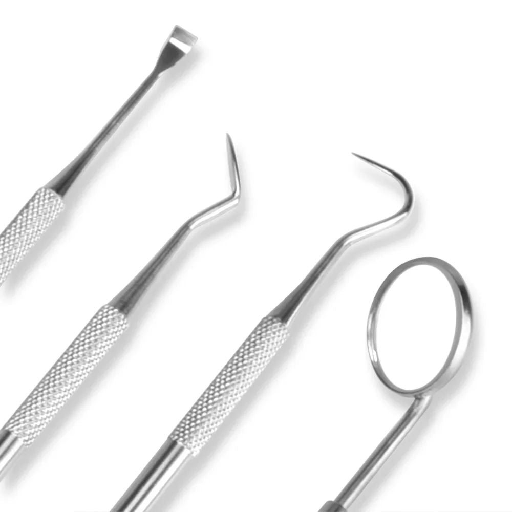 Stainless Steel Dental Hygiene Kit Tartar Scraper Plaque Remover Scaler Teeth Cleaning Tool Set For 4