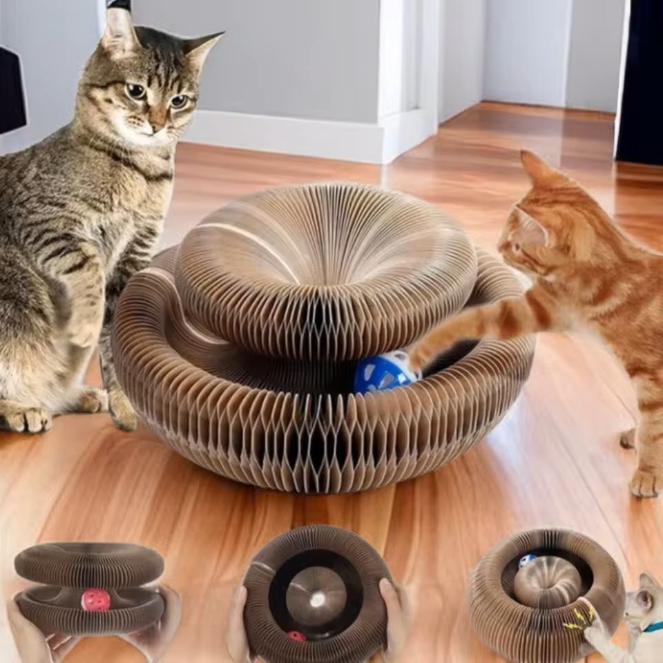 Magic Cat Scratcher Ball Toy – Durable, Fun, and Space-Saving Cat Climbing & Claw Care Board