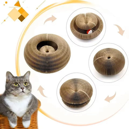 Magic Cat Scratcher Ball Toy  Durable Fun And SpaceSaving Cat Climbing  Claw Care Board 6