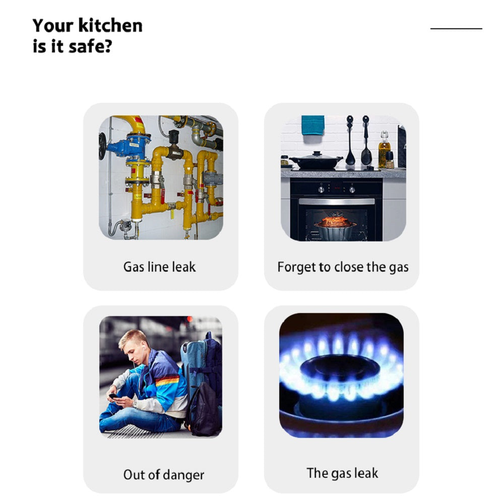 Intelligent WiFi Natural Gas Sensor Household Combustible Gas Alarm Detector For Leak Detection 3