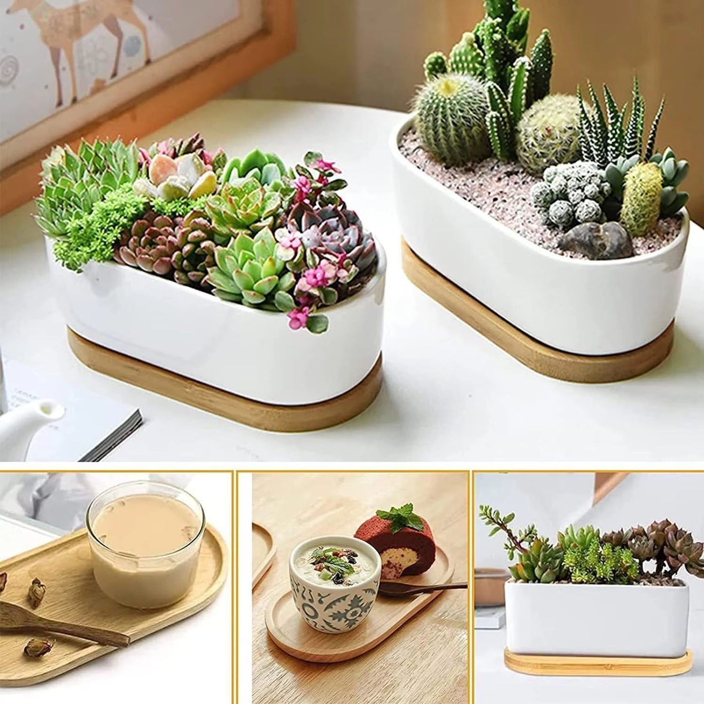Small Oval Wooden Plate, Durable Solid Beech Wood Tableware, Eco-Friendly Mini Tray for Kids & Adults