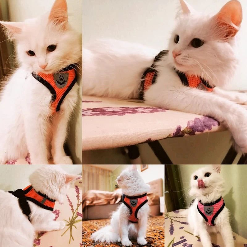 Summer Cat & Dog Harness Lead Leash, Adjustable Vest, Breathable Polyester Mesh with Reflective Strips for Safety