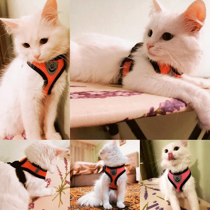 Summer Cat & Dog Harness Lead Leash, Adjustable Vest, Breathable Polyester Mesh with Reflective Strips for Safety