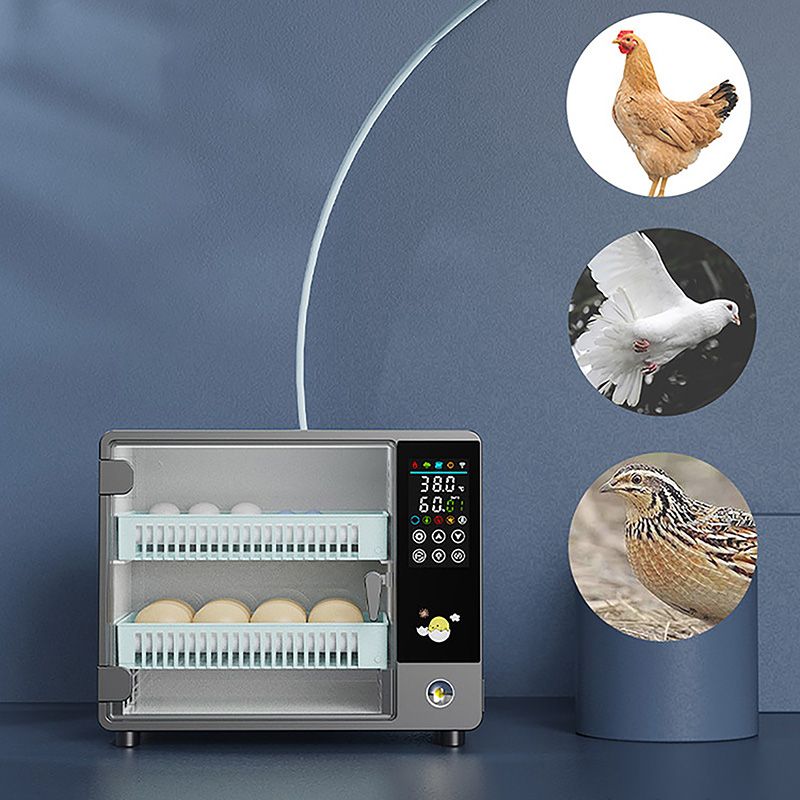 24Egg Automatic Incubator  Fully Automatic Egg Turner  Hatcher For Chicken Quail And Poultry Farmin