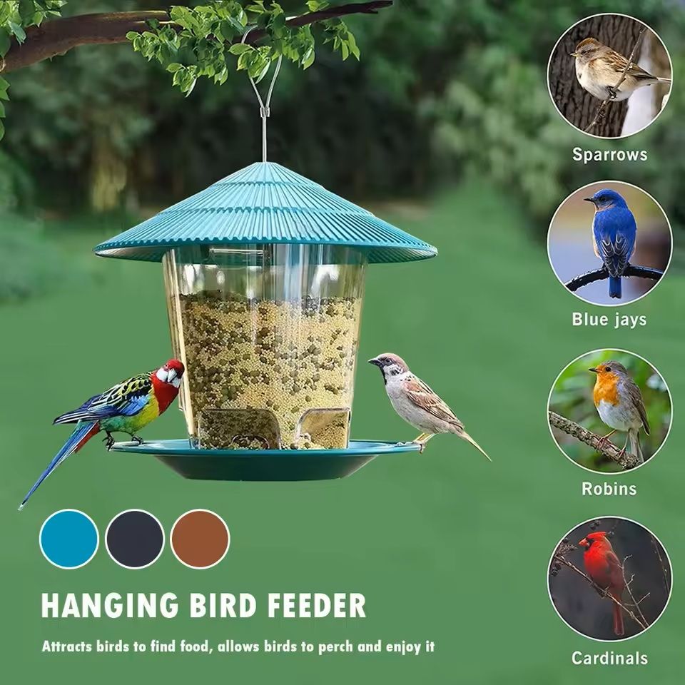 Automatic Hanging Bird Feeder with Multi-Hole Dispenser for Outdoor Use