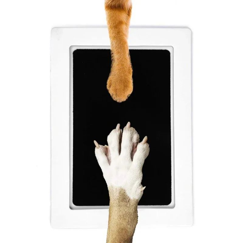 Cat Dog Paw Print Ink Kit Pad Safe NonToxic Inkless DIY Pet Souvenir For Clean  Clear Paw Prints 1