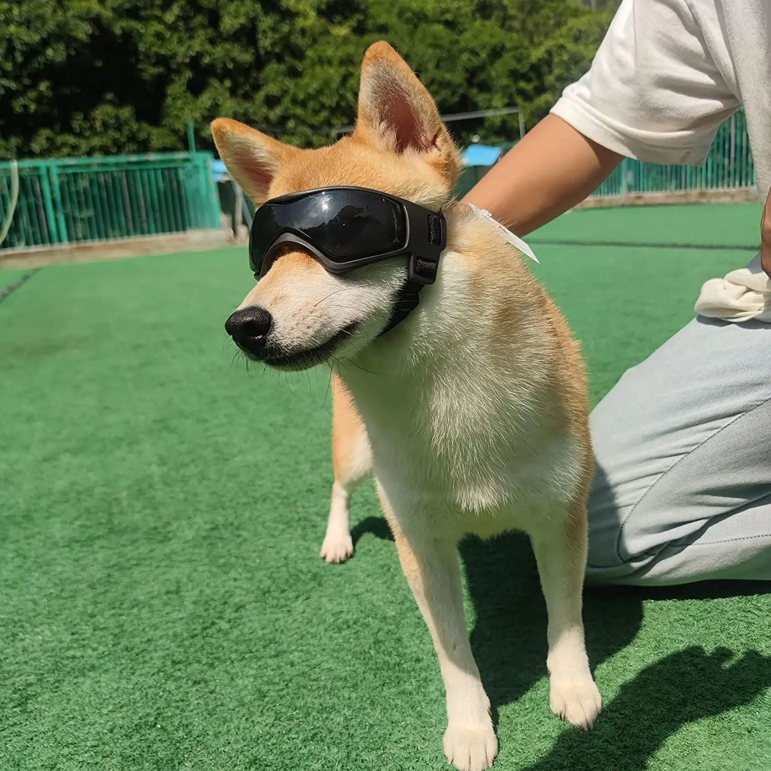 Adjustable Dog Goggles For Small Medium Breeds Outdoor UV Protection Sunglasses For Dogs And Cats P 1