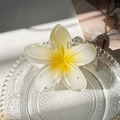 Large Boho Flower Hair Claw Clips For Women Stylish Hairpins  Barrettes For Beach  Everyday Wear 11