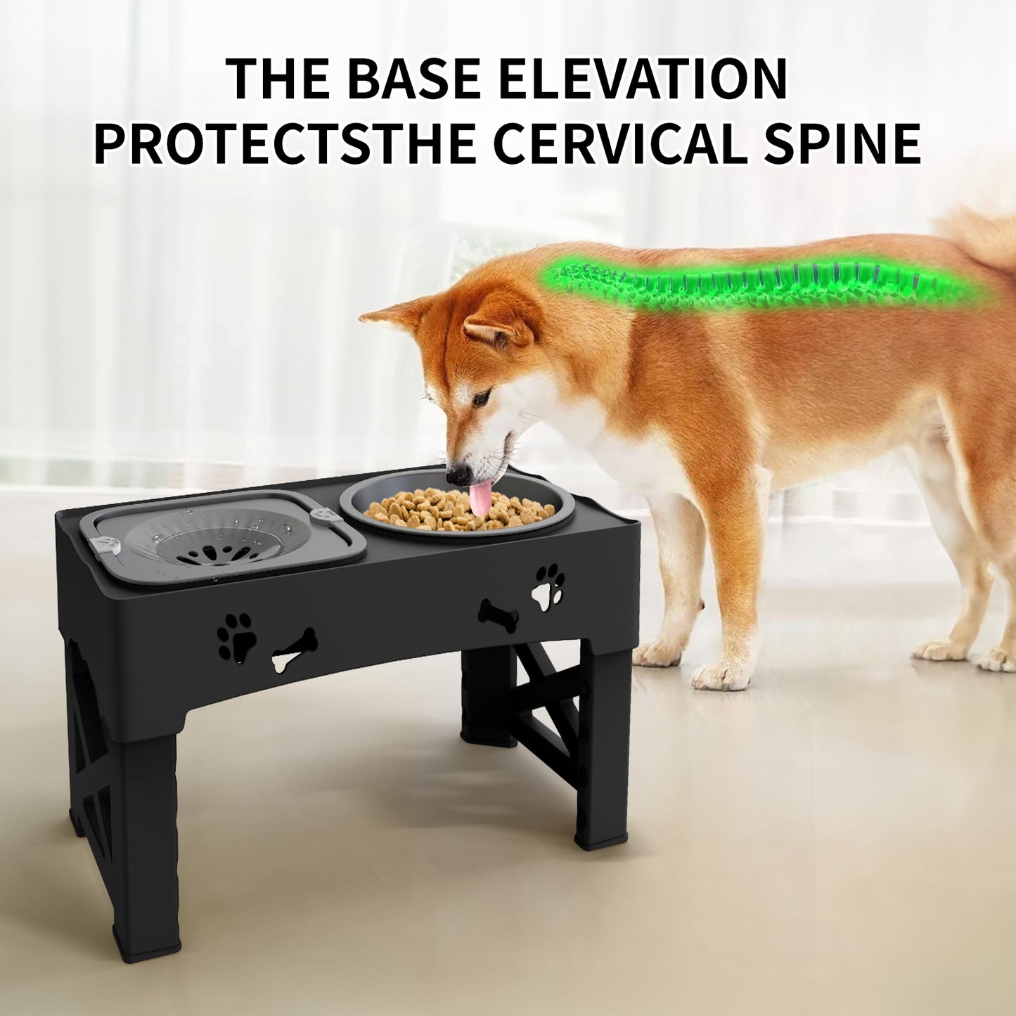 Adjustable Height Pet Feeder Slow Feed Double Bowl for Cats & Dogs