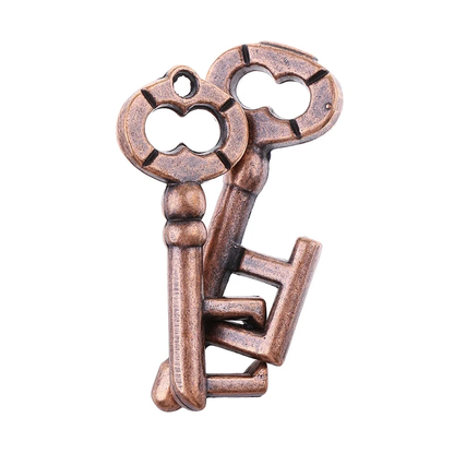 Key Lock Puzzles IQ Brain Teaser Metal Puzzle for Adults Kids Intellectual Challenge Gam