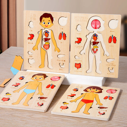 Montessori Puzzles Busy Board Teaching Human Body Parts For Childrens Learning 1