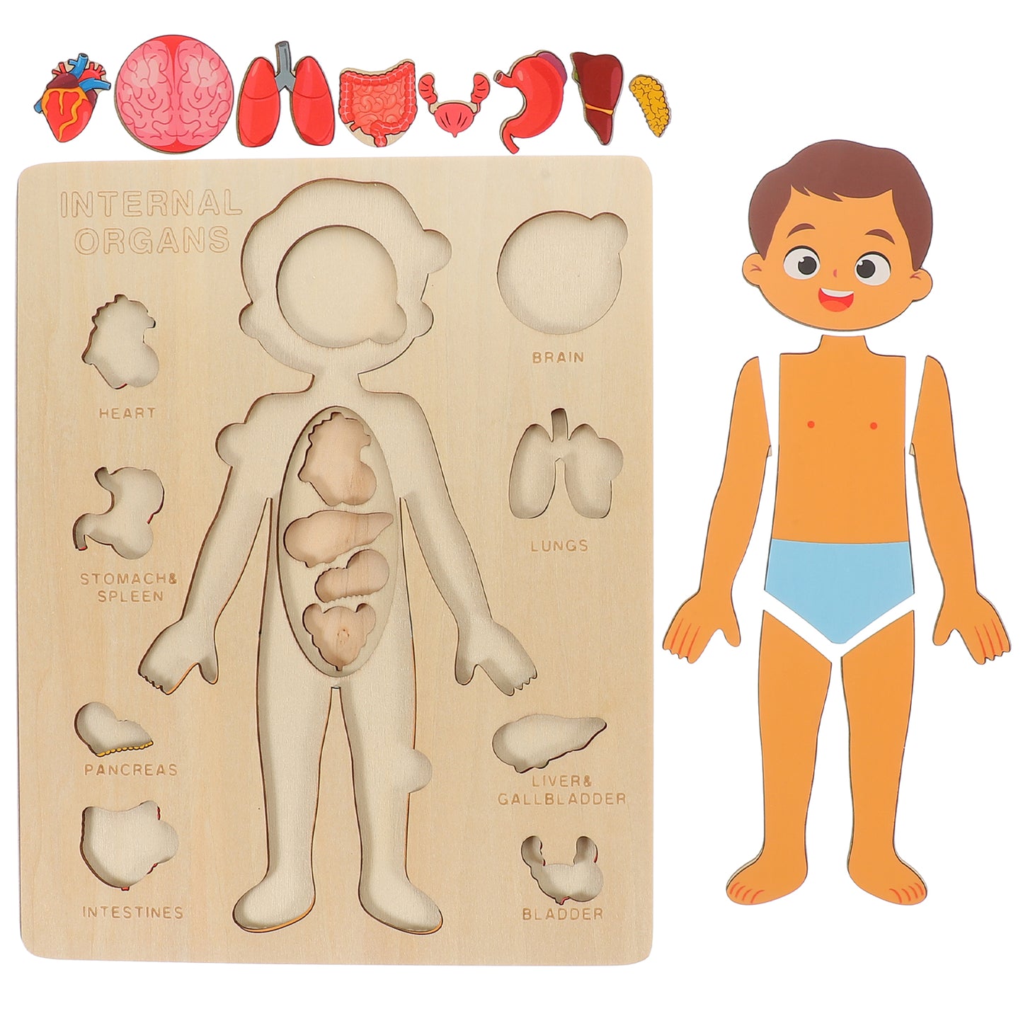 Montessori Puzzles Busy Board Teaching Human Body Parts For Childrens Learning 4
