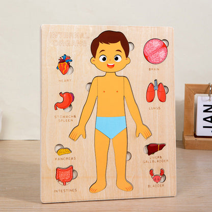 Montessori Puzzles Busy Board Teaching Human Body Parts For Childrens Learning 7