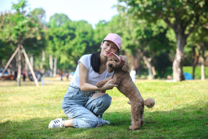 Adjustable Pet Dog Baseball Hat With Ear Holes Cute Travel Sun Cap For Outdoor Sport 2