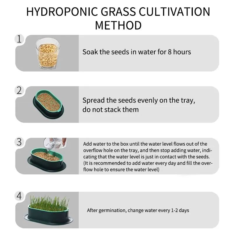 Pet Cat Sprout Dish Growing Pot Hydroponic Cat Grass Germination Kit For Digestion Greenhouse Grow