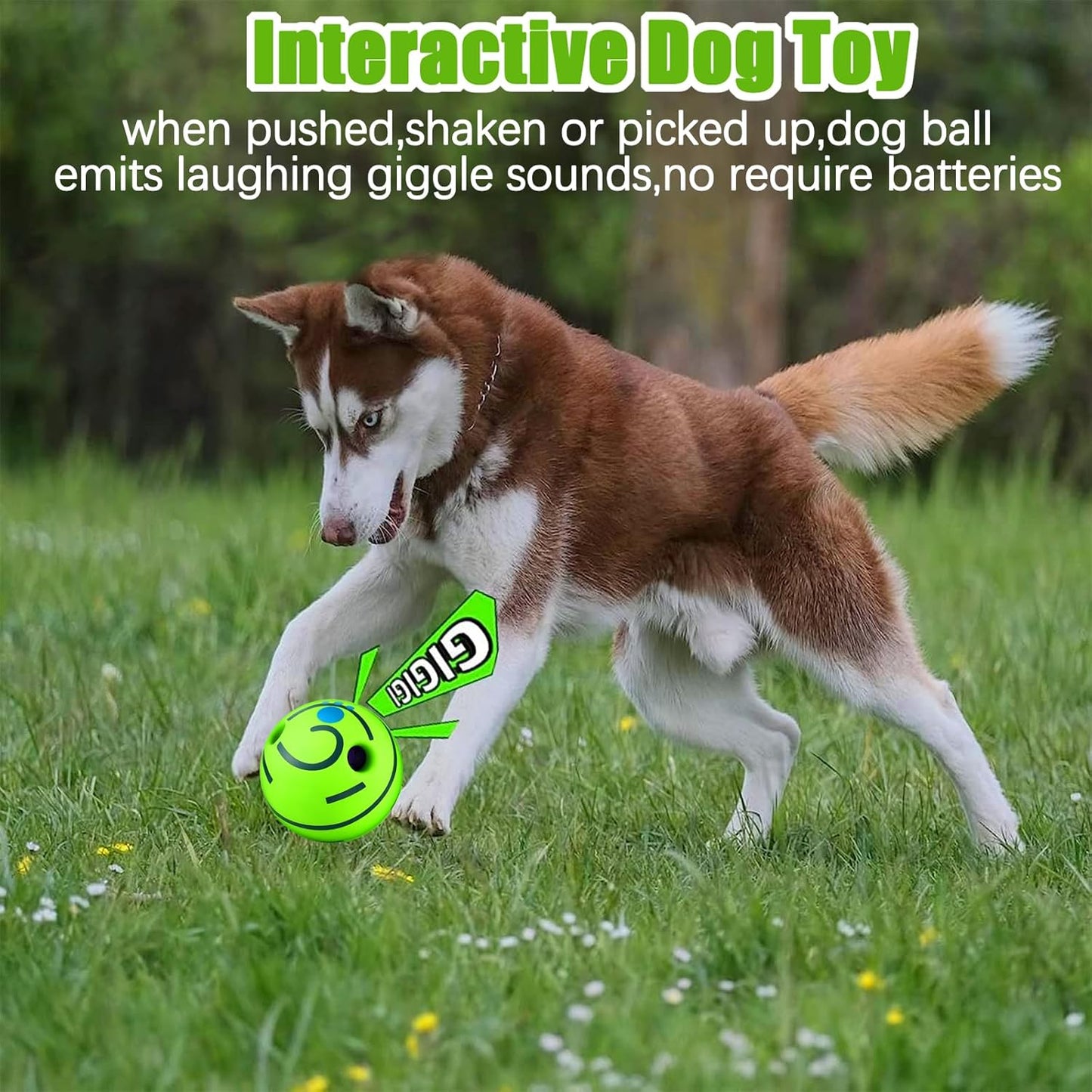 GlowintheDark Giggle Ball For Dogs  Interactive Sound Toy For Active Play  Attention 4