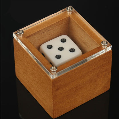 Magic Dice Trick Dot Number Changing Illusion Prop For Kids  Adults  Stage  CloseUp Magic 1