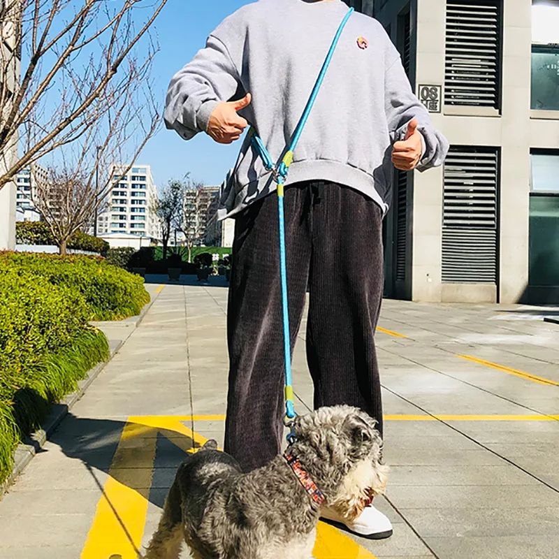 Reflective Nylon Dog Leash With Traffic Handle Slip Lead Rope Chain For Small Large Dogs HandsFree  1