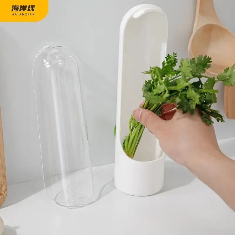 CrossBorder Vanilla Vegetable FreshKeeping Box DustProof AntiPressure EcoFriendly Food Storage Cont 1