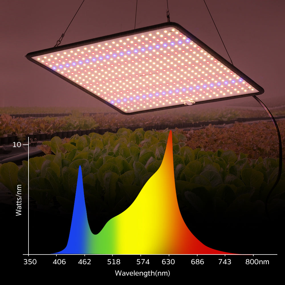 LED Grow Light Full Spectrum Phyto Lamp AC85240V 40W For Indoor Grow Tent Plants Growth Light 3