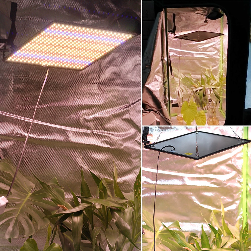 LED Grow Light Full Spectrum Phyto Lamp AC85240V 40W For Indoor Grow Tent Plants Growth Light 5