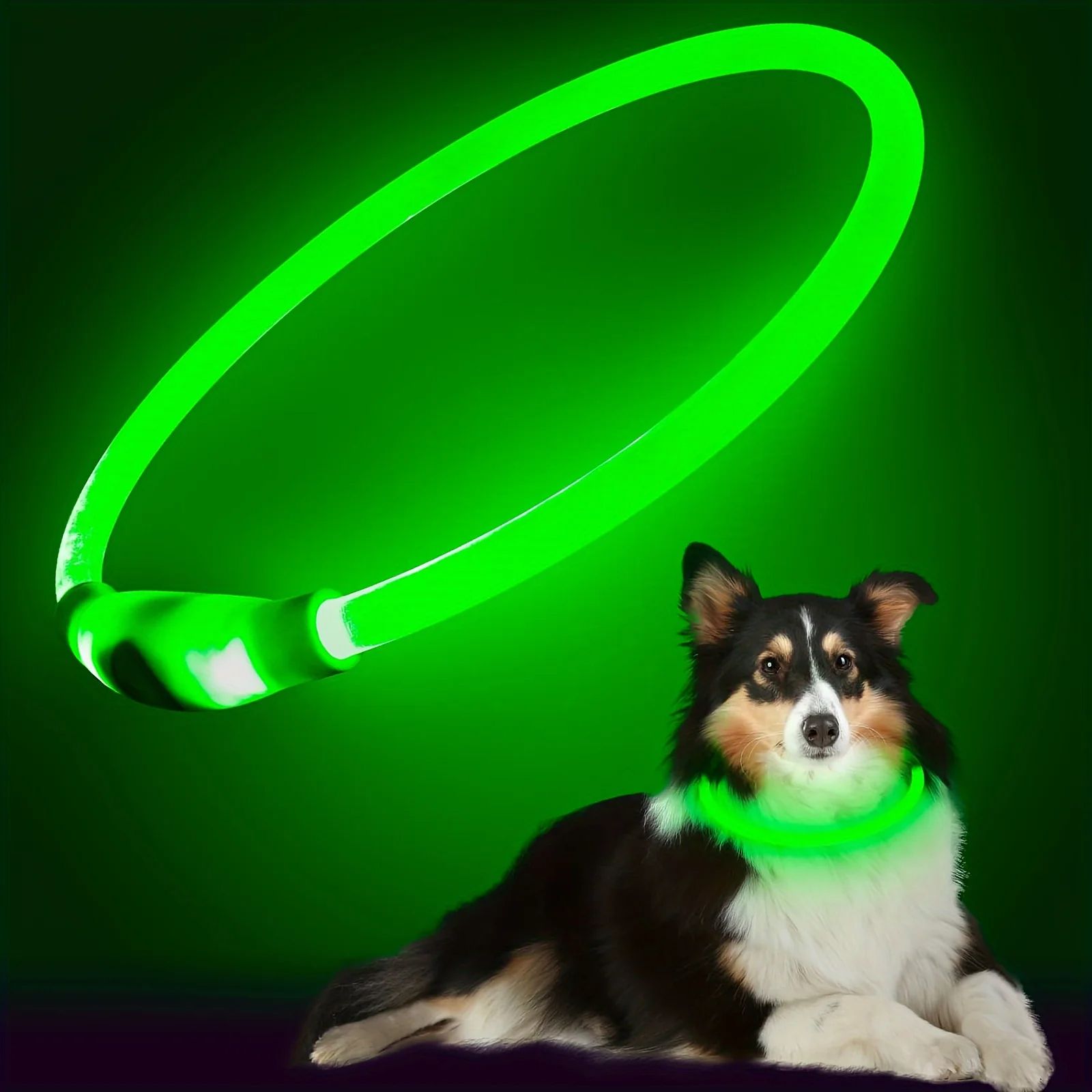 Pet Dog LED Light Collar Luminous AntiLost Dog Collar USB Rechargeable Dog Necklace Collar 7