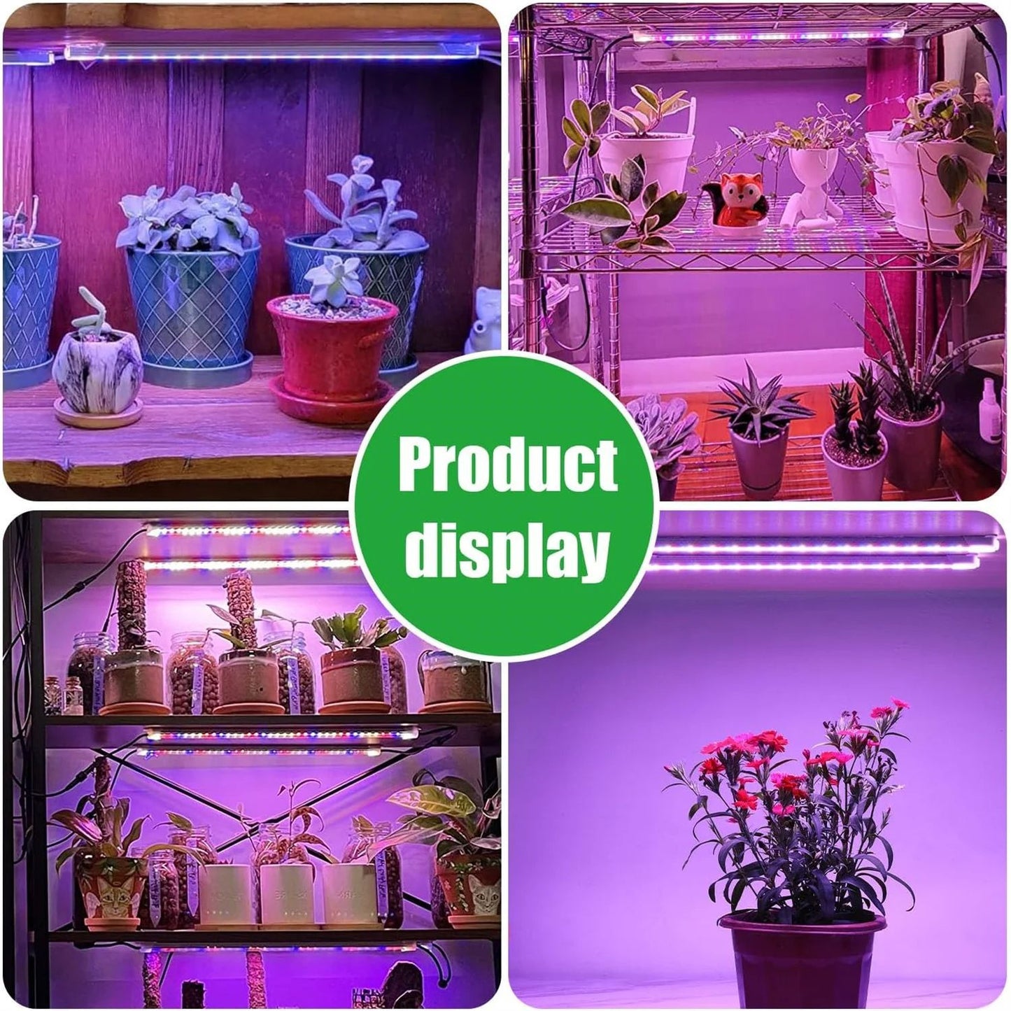 Indoor LED Grow Light USB DC5V Timer Phyto Lamp Full Spectrum Dimmable LED Light For Plants  Hydrop 5