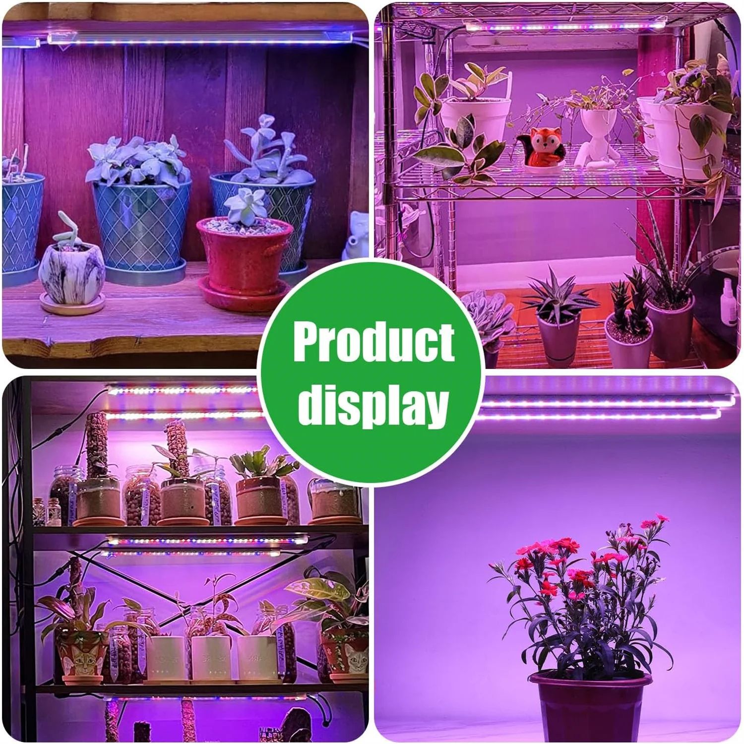 Indoor LED Grow Light USB DC5V Timer Phyto Lamp Full Spectrum Dimmable LED Light For Plants  Hydrop 5