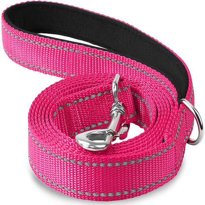 Night Reflective Pet Leash  Harness Adjustable DogCat Collar Lead Durable Guard Rope For Walking  S 10