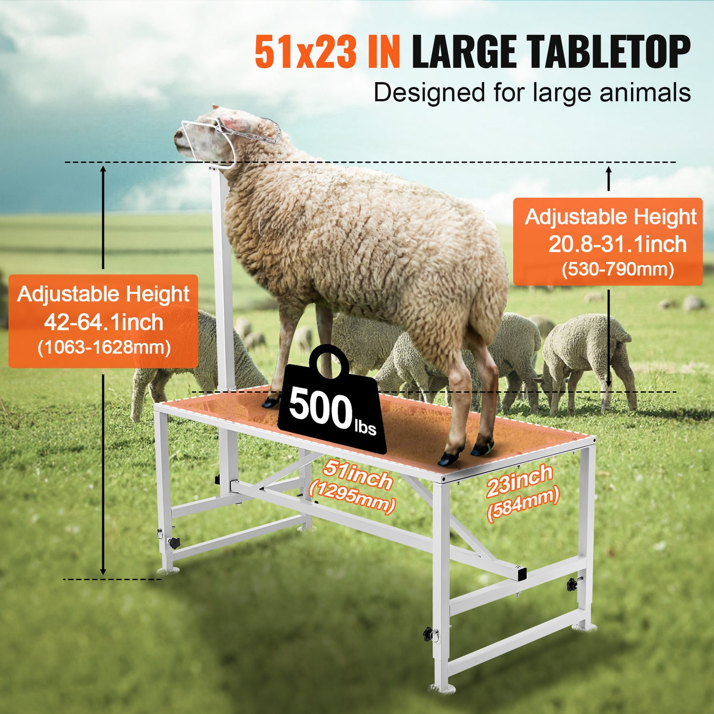 Goat  Sheep Stand Livestock Stand Adjustable Height Metal Livestock Milking And Shearing Stand For