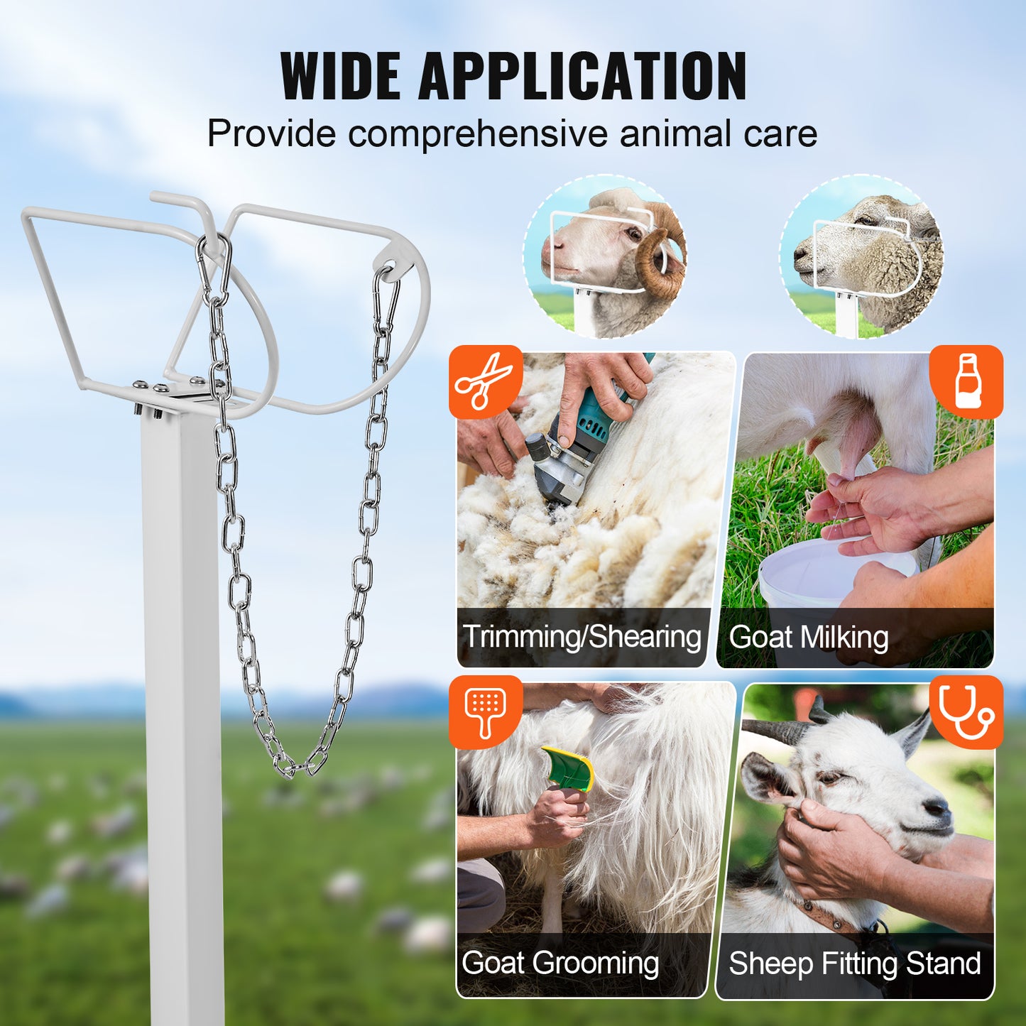 Goat  Sheep Stand Livestock Stand Adjustable Height Metal Livestock Milking And Shearing Stand For