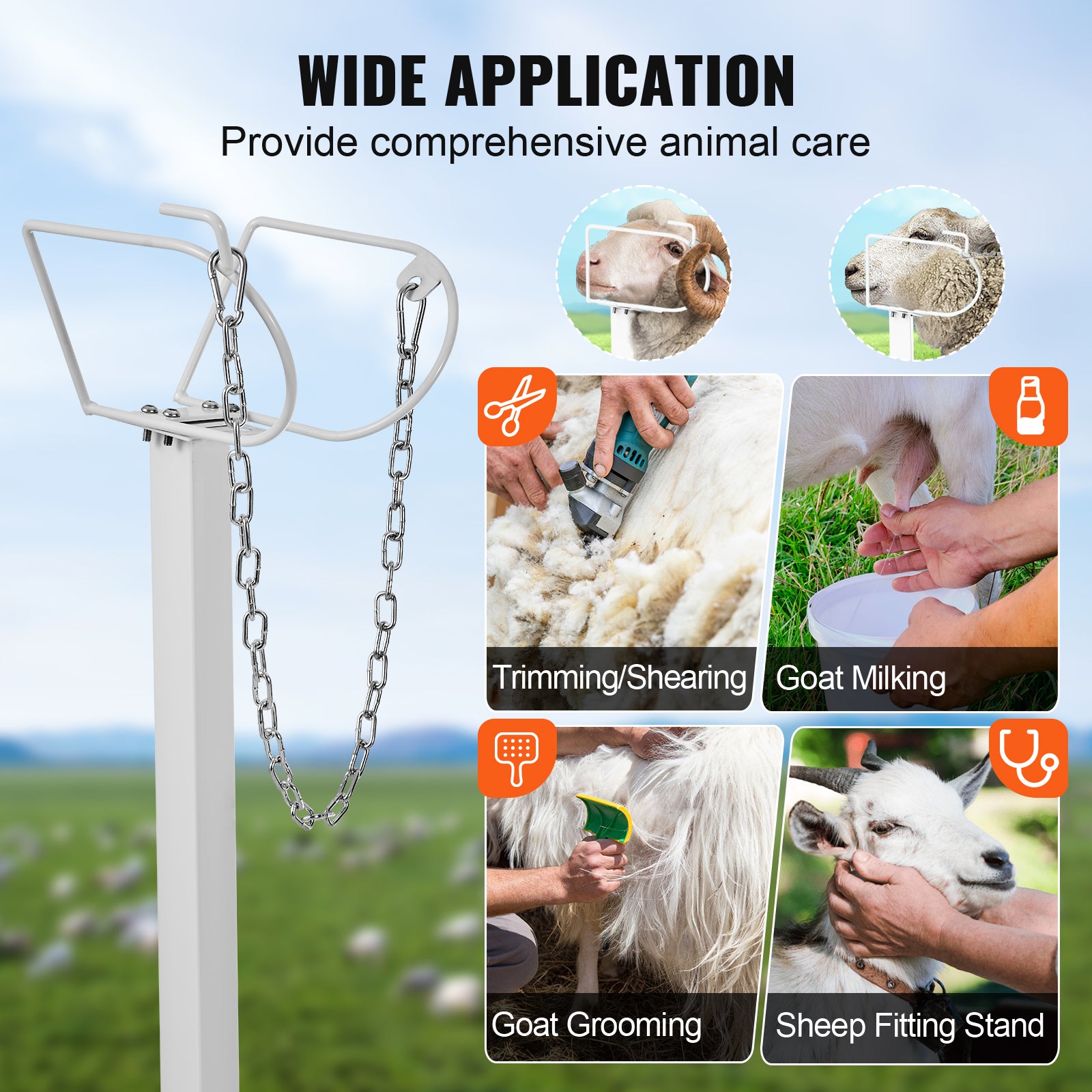 Goat  Sheep Stand Livestock Stand Adjustable Height Metal Livestock Milking And Shearing Stand For