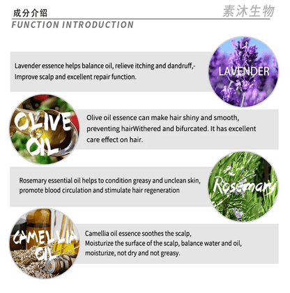 Lavender Scalp Balance Shampoo  Oil Control And SiliconeFree Hair Care 3