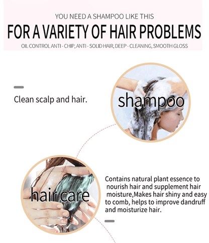 Lavender Scalp Balance Shampoo  Oil Control And SiliconeFree Hair Care 5