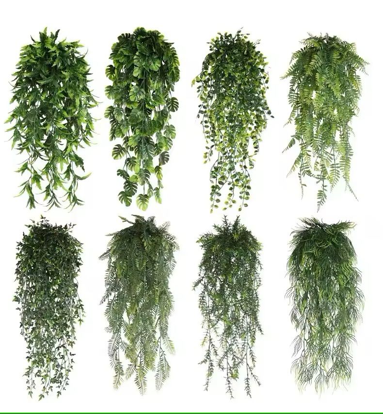 354 Inches Hanging Persian Fern Vines For Home And Event Decor 3