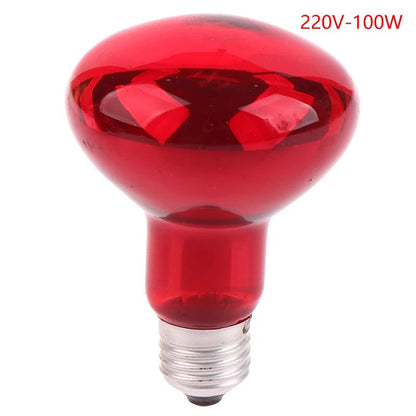 Infrared Red Light Therapy Bulb For Body Muscle Pain Relief Neck Joint Heating Lamp Arthritis Physi 4