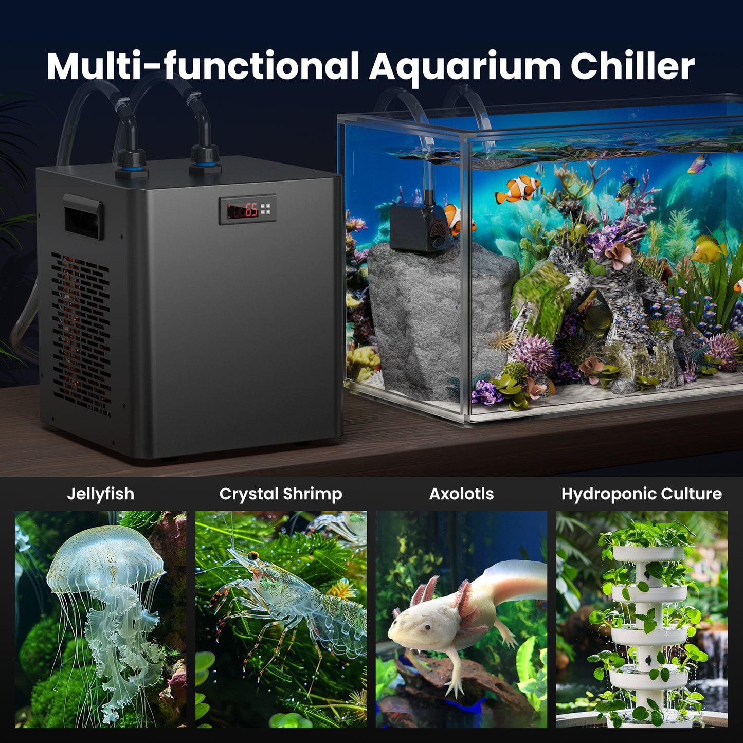 Premium Aquarium Chiller For Hydroponic Systems Axolotl Fish  Coral Tanks Quiet  Efficient Cooling 4