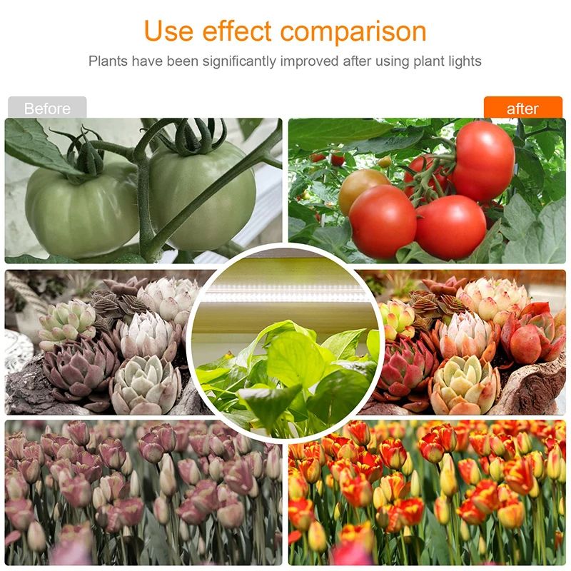 Full Spectrum Indoor LED Grow Light USB Timer Phytolamp For Hydroponics Seedlings Herbs  Houseplant 4